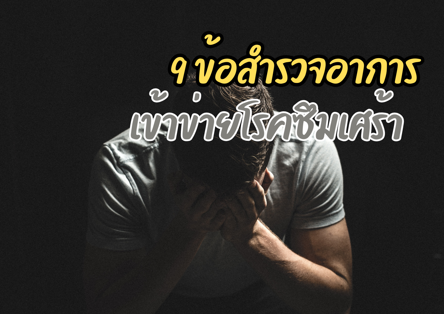 รูปภาพหน้าปก dff16155-35fa-4116-b90a-1f520e4caa3b
