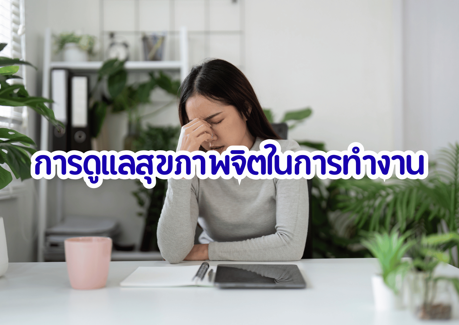 รูปภาพหน้าปก 6cecebcd-f448-4ee6-89f8-71e91bdcb201