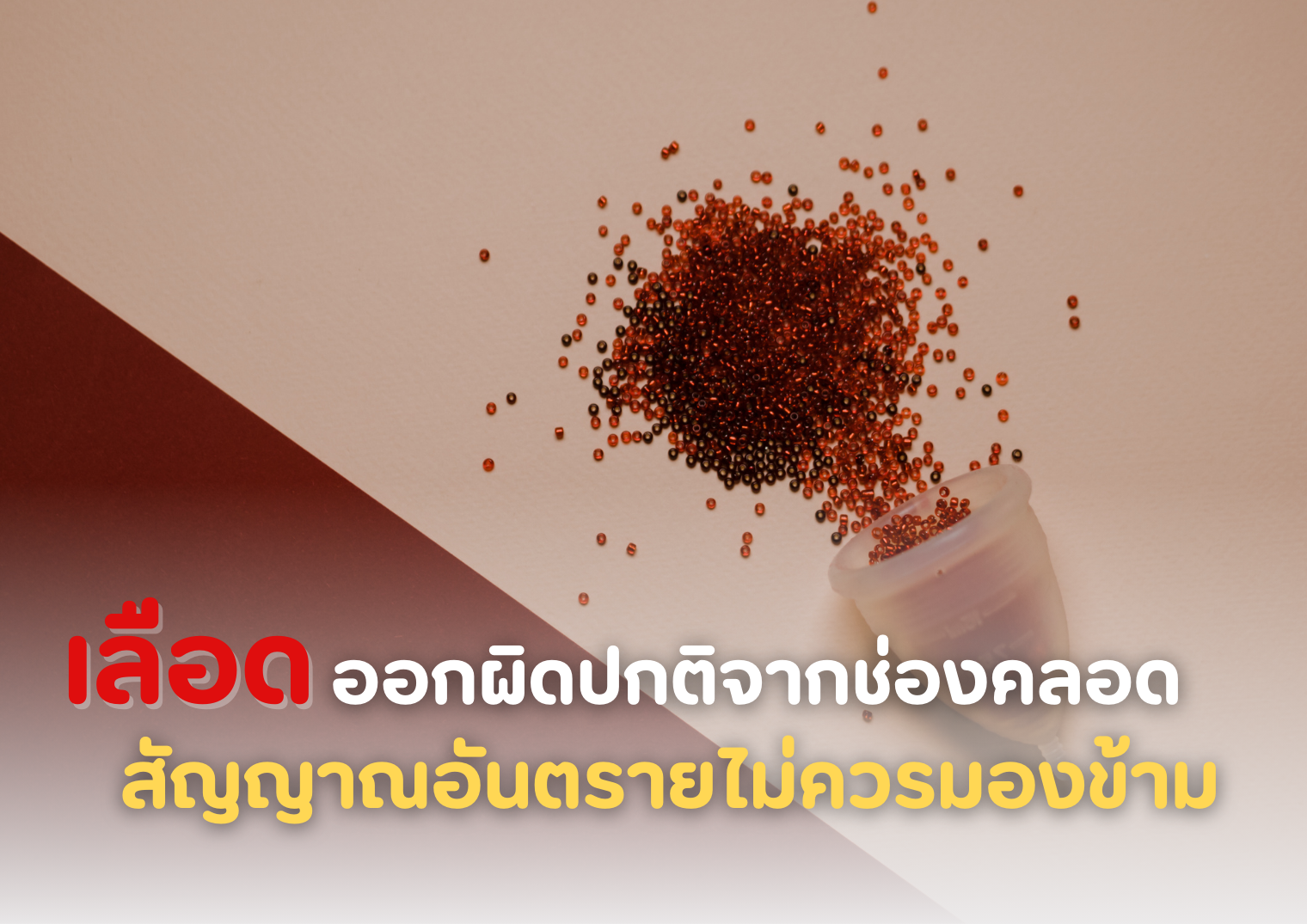 รูปภาพหน้าปก b57fc372-1cdb-4bd2-9f6f-006a3960354e