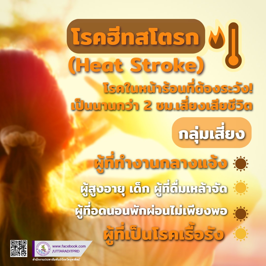รูปภาพหน้าปก 5d0e45d0-9a70-4166-a780-a86f9ec393c1