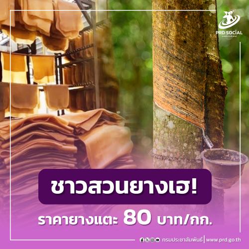 รูปภาพหน้าปก 305dcca7-ce26-48db-b3be-a39fd7a9dda0