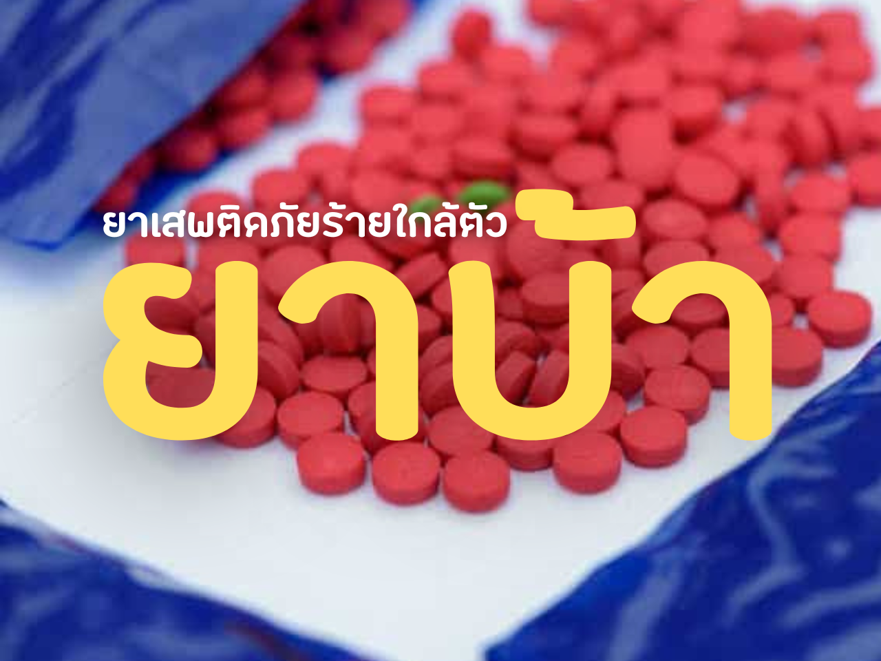 รูปภาพหน้าปก 79722f64-5aba-46cc-9352-b6b933c5d15b