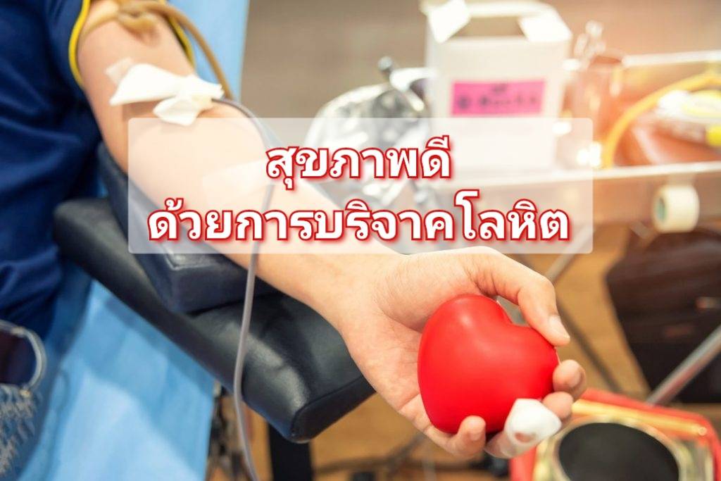 รูปภาพหน้าปก c34d724e-1e34-4474-a8ae-f9360804c897