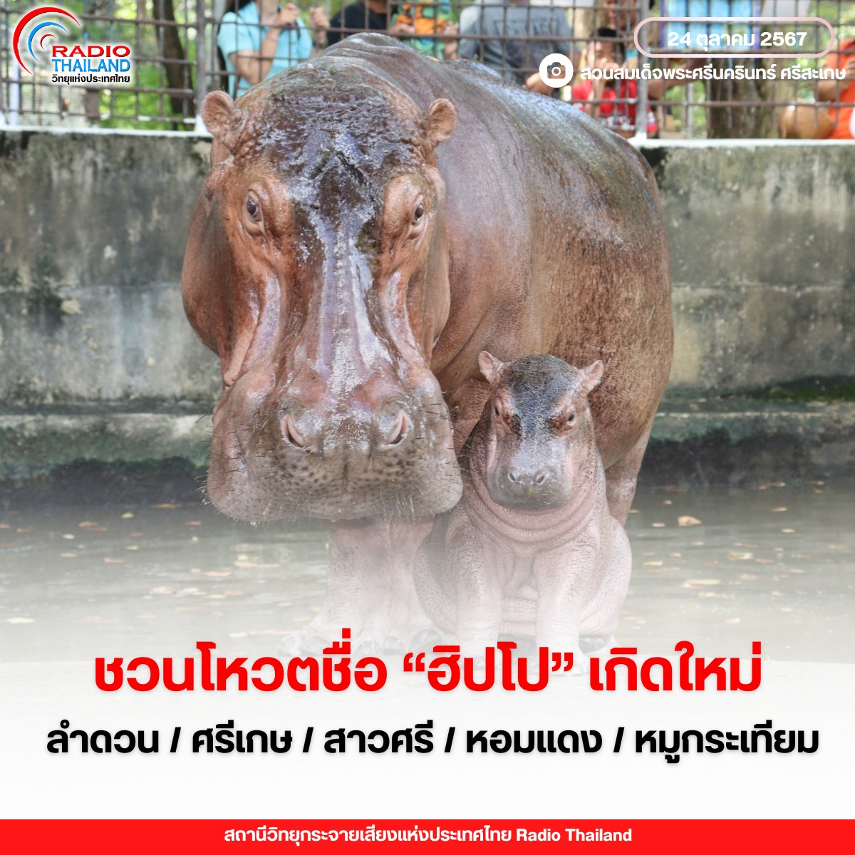 รูปภาพหน้าปก f62869a8-7d5e-451e-9c58-689481743405