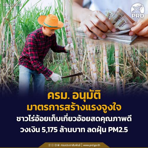 รูปภาพหน้าปก 2416721a-a077-49ca-94d7-3abb203a7e6e