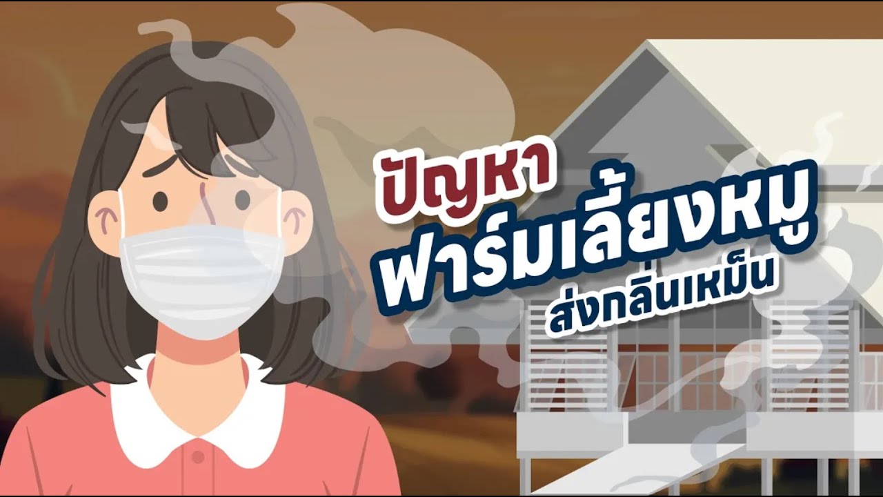 รูปภาพหน้าปก 9136e307-4bd7-4828-aed5-04d8888dbf7b