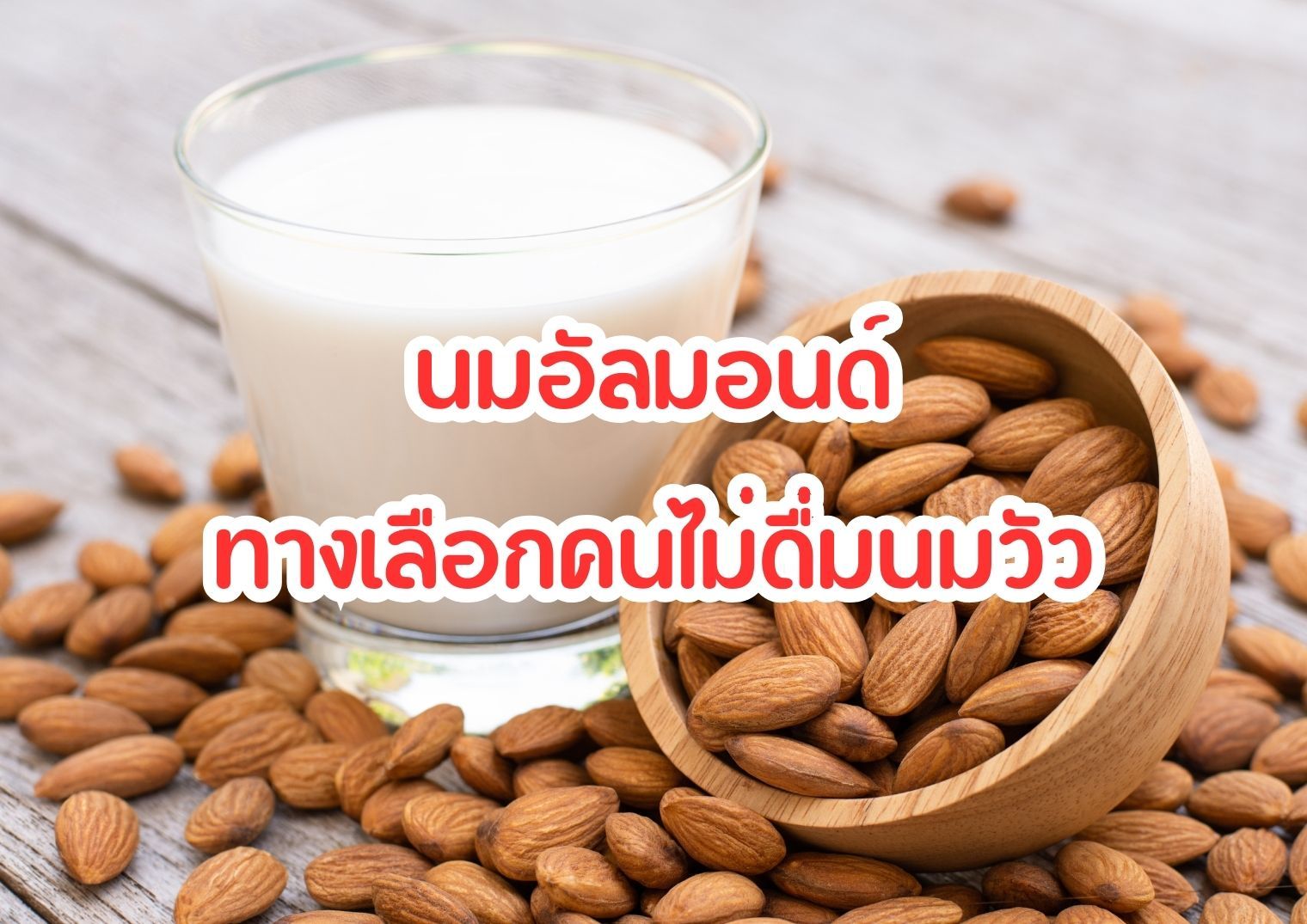 รูปภาพหน้าปก 7fcbeac4-c9fd-489b-8d7d-3b5c354c92eb