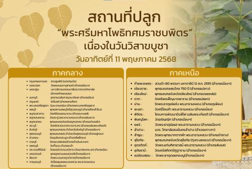 รูปภาพหน้าปก 4cb9d339-868f-4a6f-bf40-45b3de019702