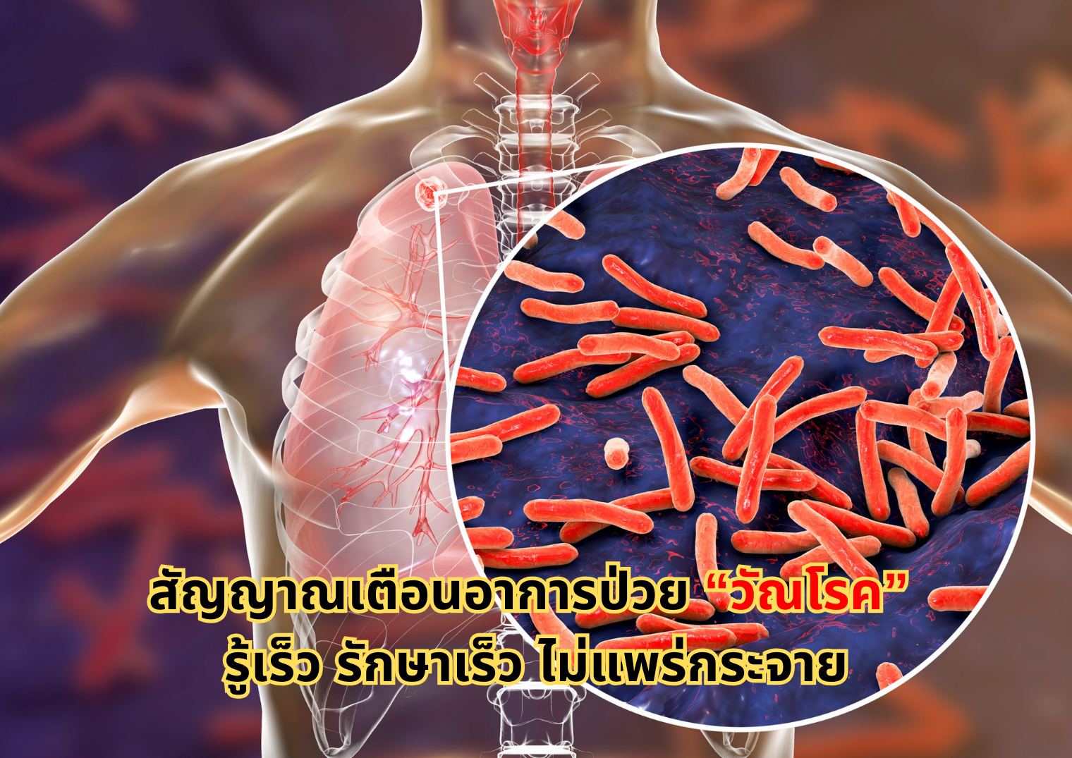 รูปภาพหน้าปก 2cc4d8f8-ba66-46f9-a7f2-d3a1e2f3cd65