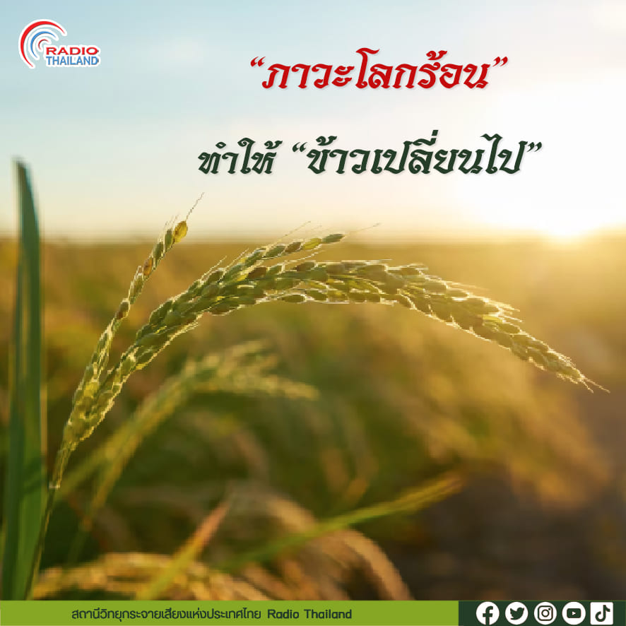 รูปภาพหน้าปก 30dc76f7-7c3e-4fde-a4d3-b7dcaef14039