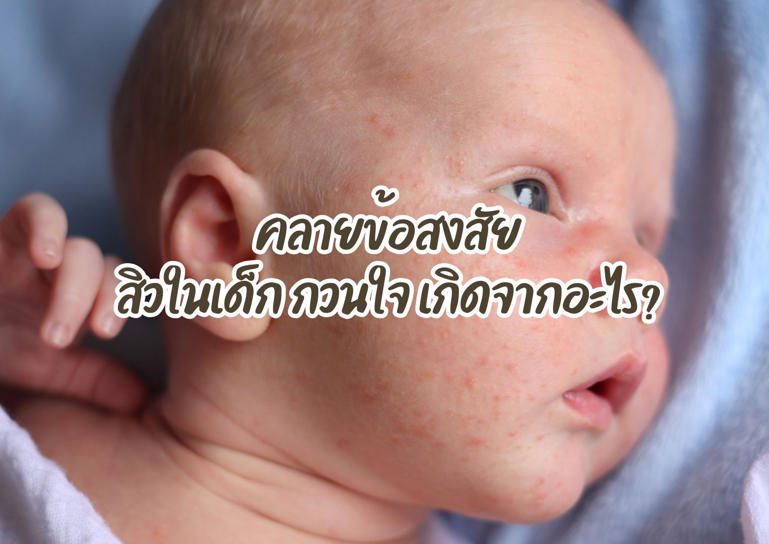 รูปภาพหน้าปก bb8218d4-ad39-449c-a397-e1a5bf76bafc