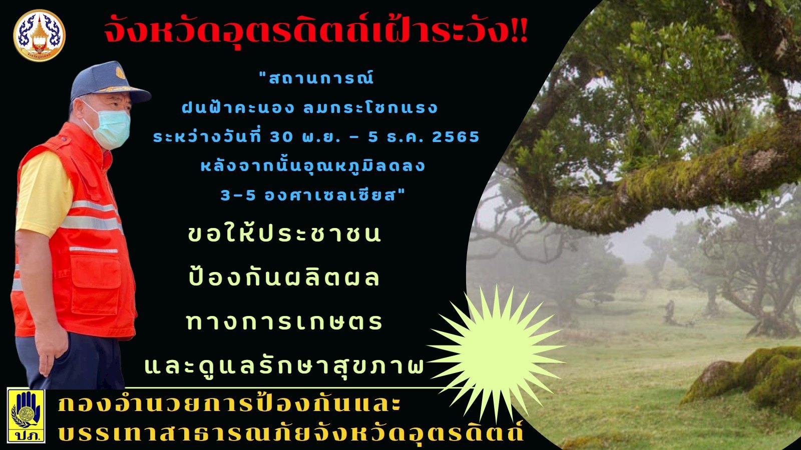 รูปภาพหน้าปก 384e3932-67ce-482f-aad8-8f86040d189e