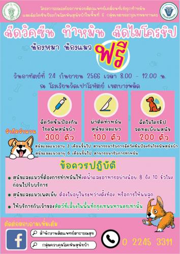 รูปภาพหน้าปก 154d119f-c16e-4f42-993e-cb1895607d30