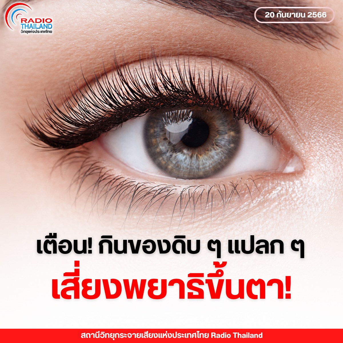 รูปภาพหน้าปก f5962310-f131-491d-b5de-22fcf843e67d