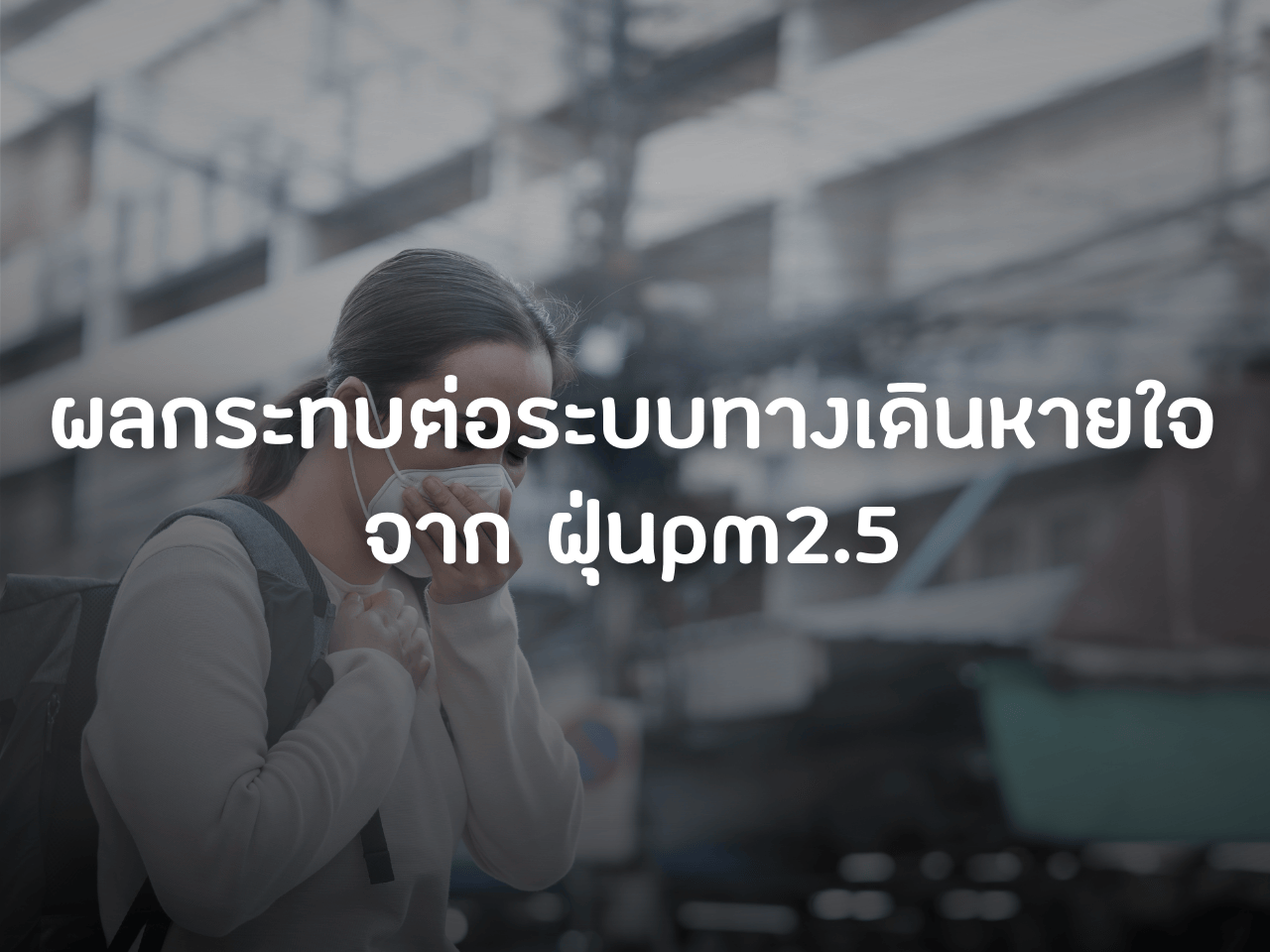 รูปภาพหน้าปก b05d357a-85ff-4092-8244-8678d7e453d5