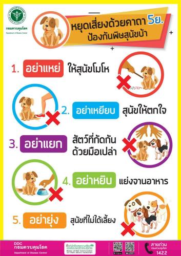 รูปภาพหน้าปก d420cc8b-c564-48b7-8248-aeef0aa323ed