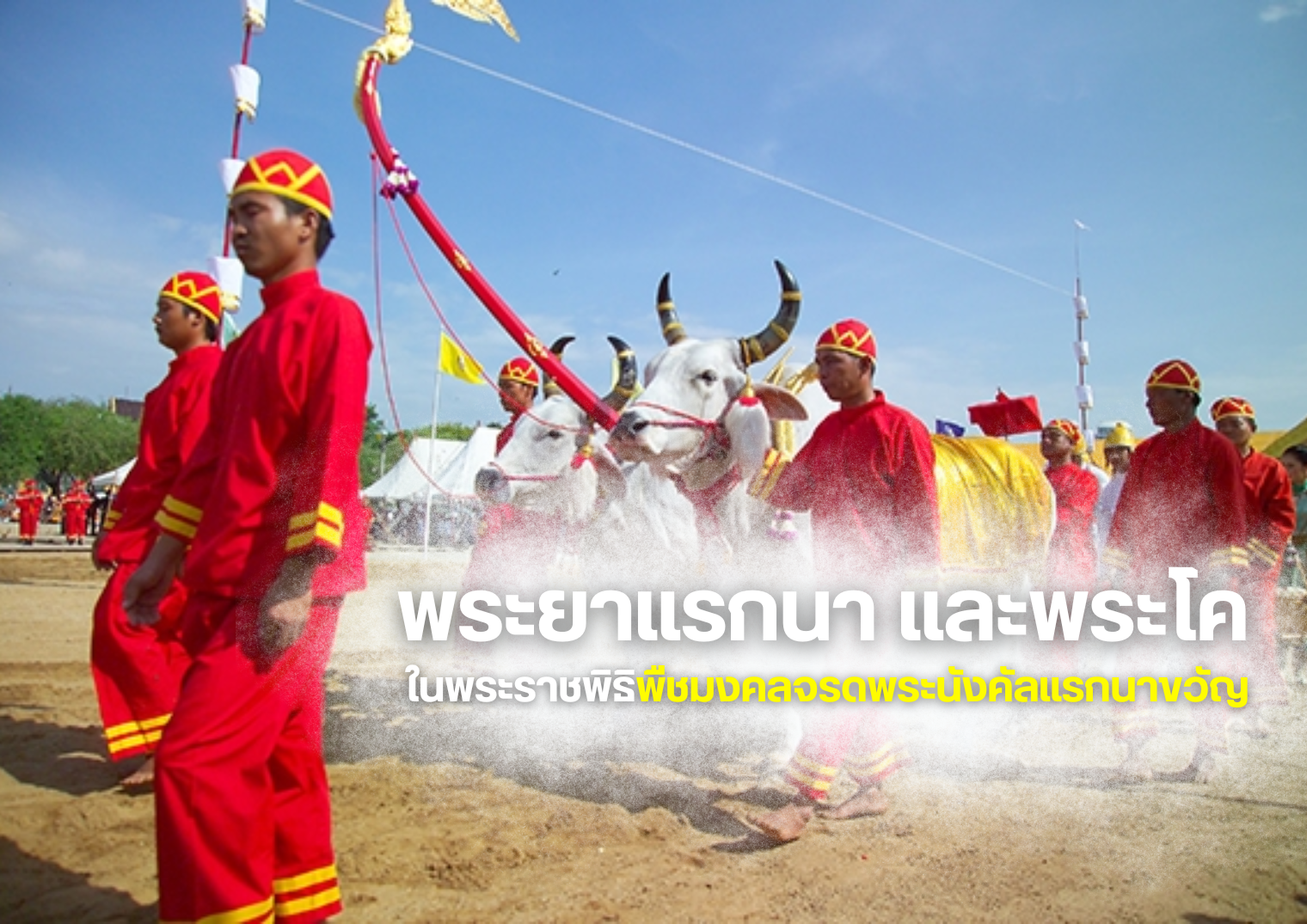 รูปภาพหน้าปก 008c3fc2-8d8d-434c-9d23-9840b088ce17