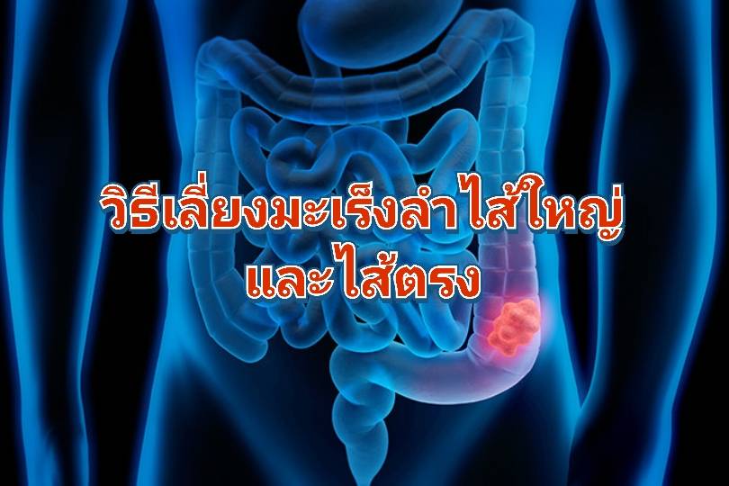รูปภาพหน้าปก edf793f4-83f0-4b70-b5cf-c094386f1b8d