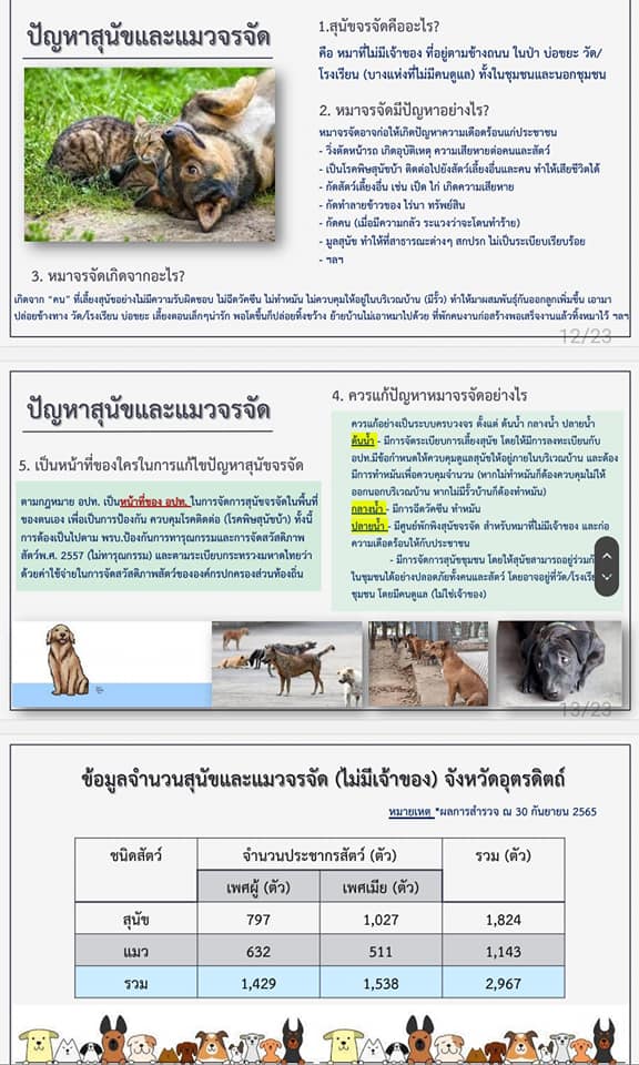 รูปภาพหน้าปก 297d2707-c7b9-4b95-9cf6-dea04a36c4dc