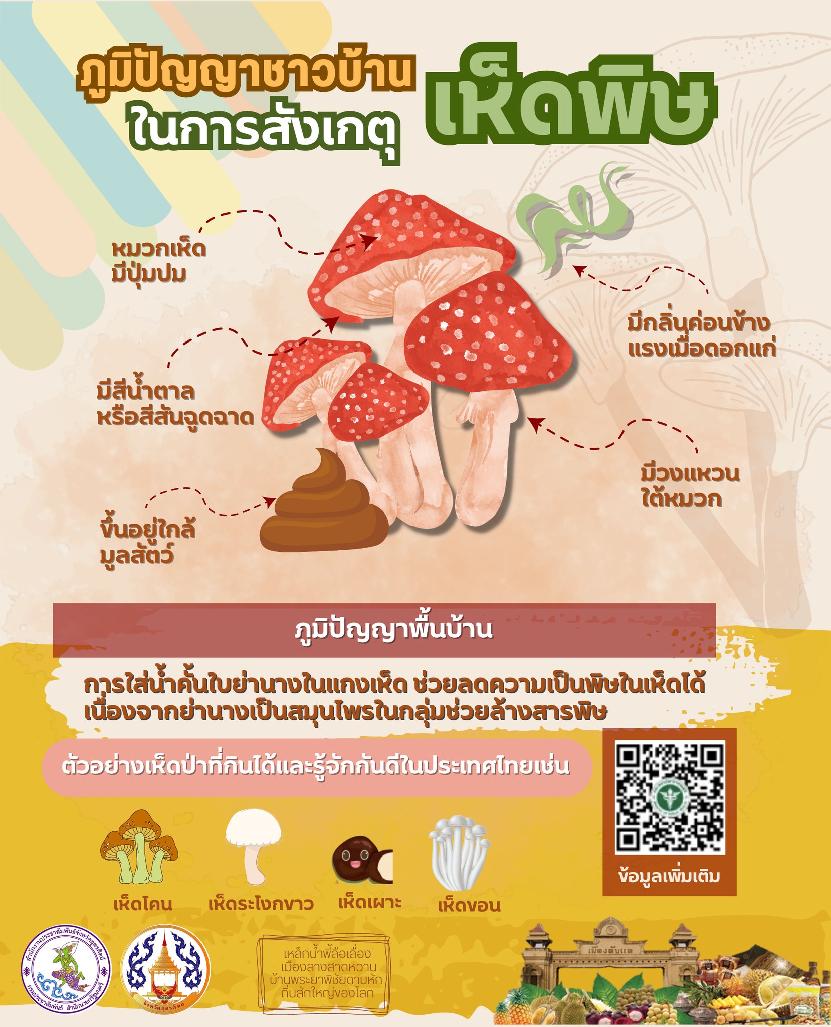 รูปภาพหน้าปก edbceafd-d9f9-4991-b9b8-3addfcbb7254