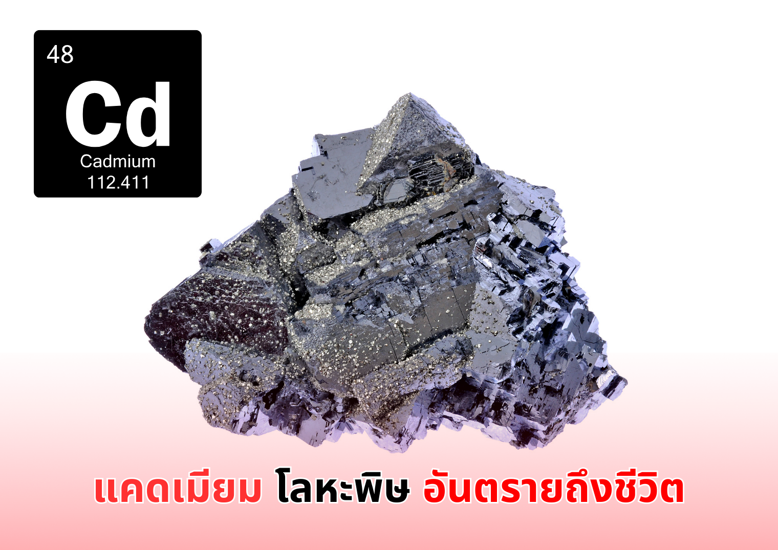 รูปภาพหน้าปก 7f3884d2-c810-46f3-86a3-5876a1578a72