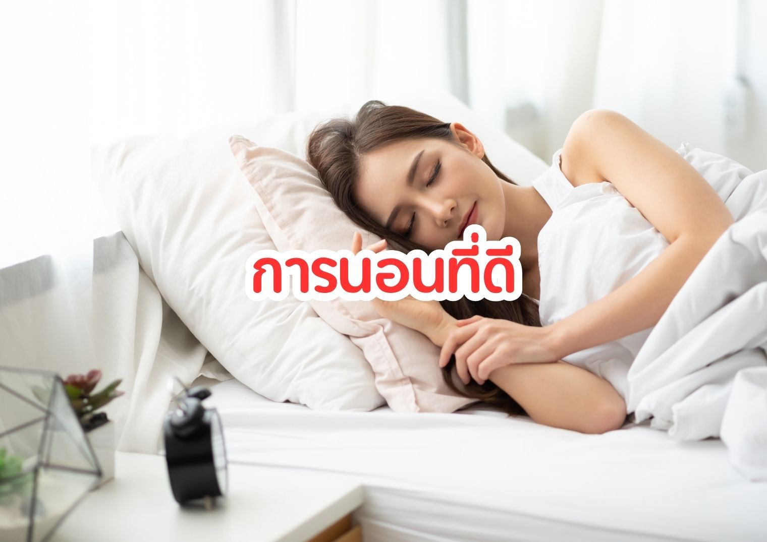 รูปภาพหน้าปก 042a1829-51f9-42c2-ac8a-8b4d8bee697f