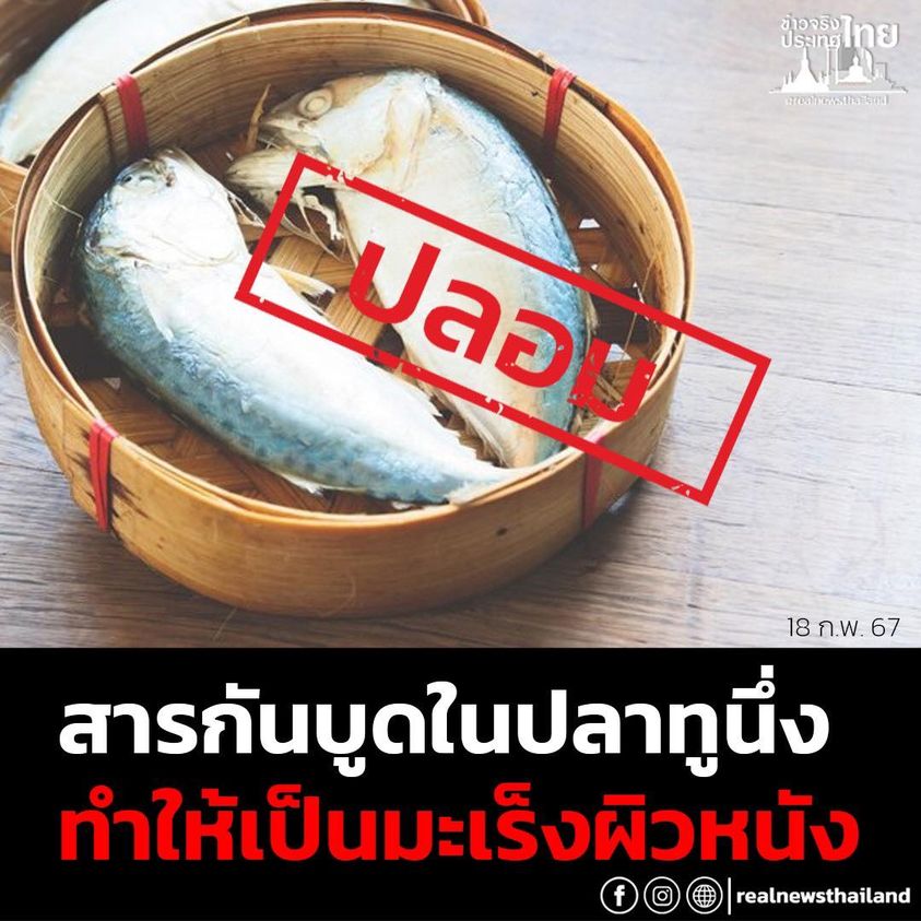 รูปภาพหน้าปก cf1bc88f-ee9b-43cc-aa8a-30bd4237e829