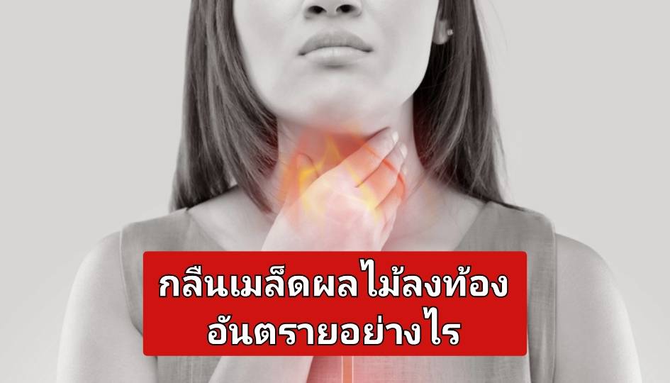 รูปภาพหน้าปก c97109f8-89d6-4112-bd9d-cff2743c02dc