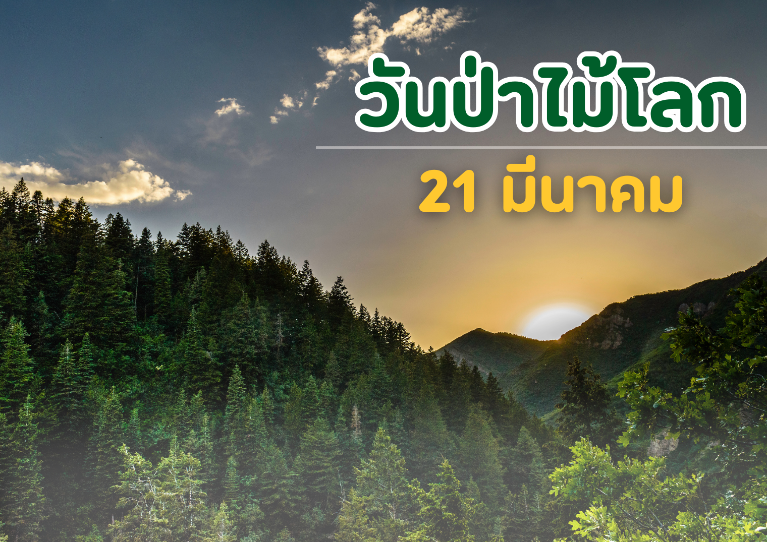 รูปภาพหน้าปก 029dff93-9d28-4158-8185-29aaab368f0e