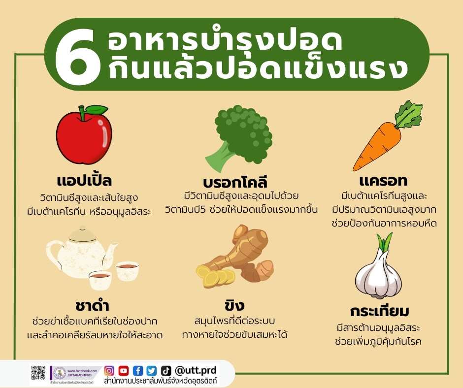 รูปภาพหน้าปก 99ceabb2-1f42-4c2e-8690-4b668f1154df