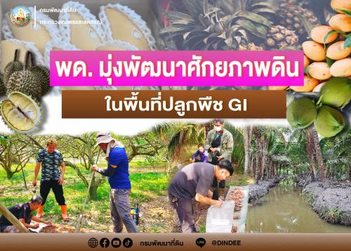 รูปภาพหน้าปก ca72cd82-b82e-411f-af88-adf89af5c587