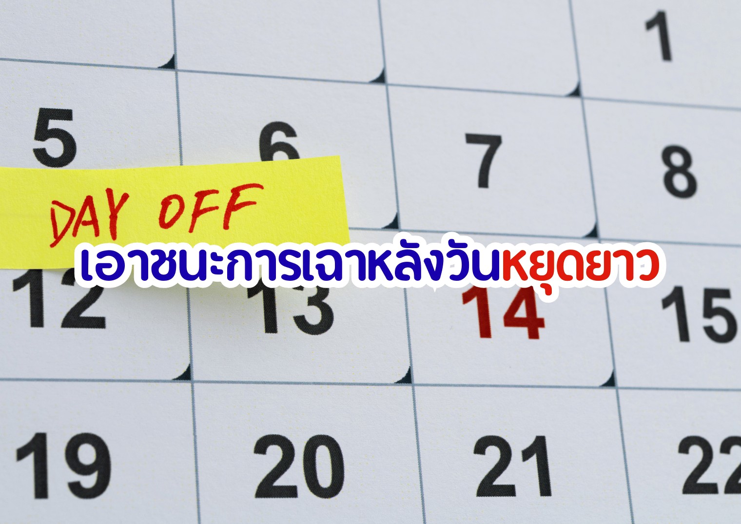 รูปภาพหน้าปก d09edc77-64ed-451c-bf18-da5a0f5533c7