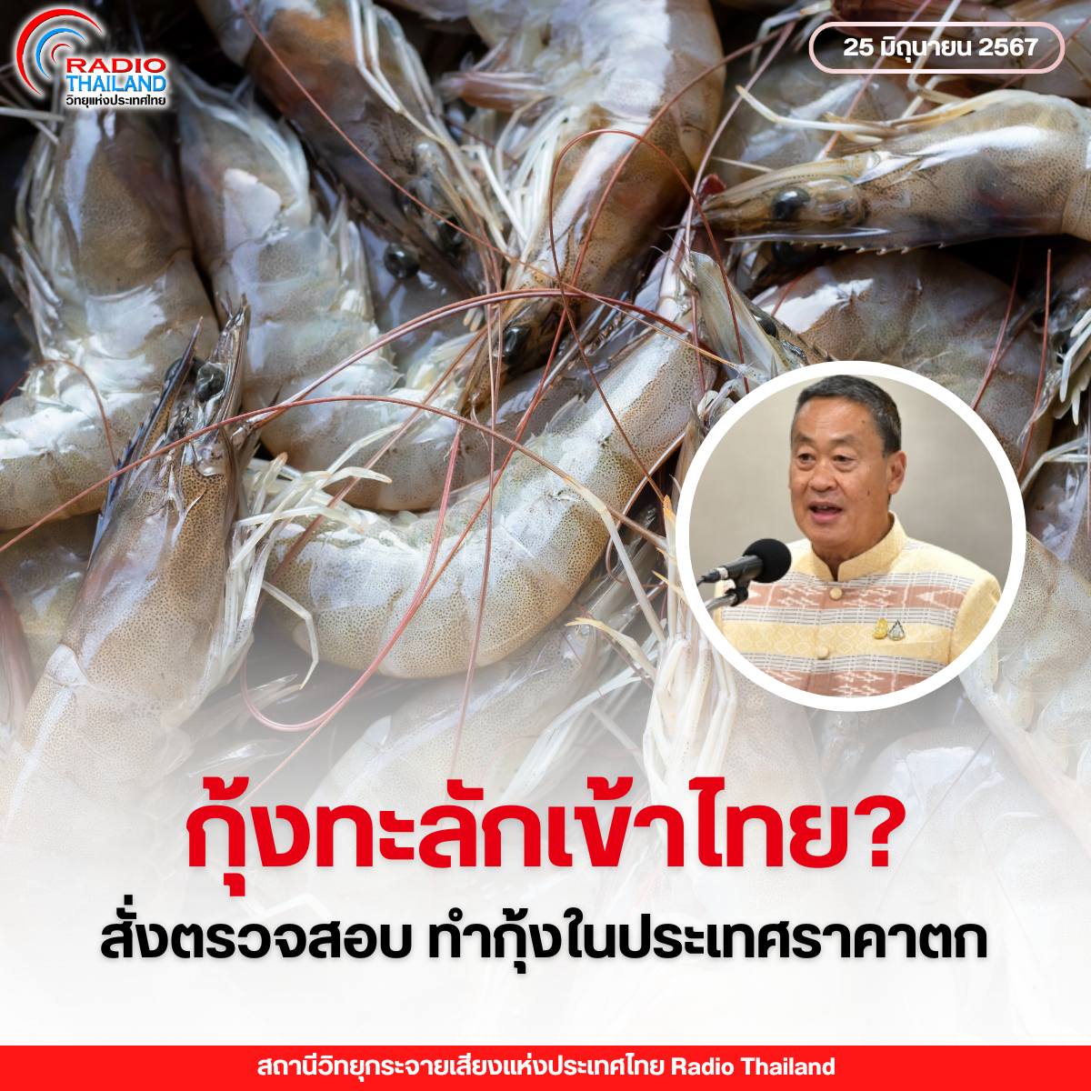 รูปภาพหน้าปก c9e1579b-2bb9-4e8d-9fee-91cd4b3a1c4e