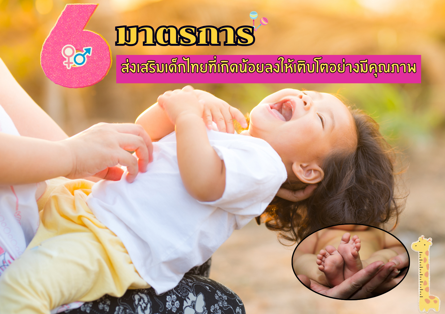 รูปภาพหน้าปก a696854e-1726-4790-bc7a-bc08857b506c