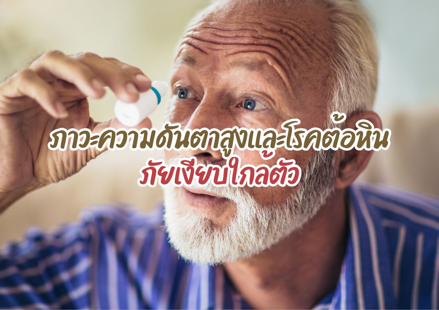 รูปภาพหน้าปก 21dedcb9-8029-4a8e-961a-f26a685fcac3