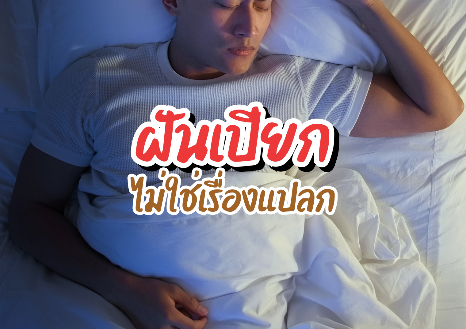 รูปภาพหน้าปก 90add85e-b43c-4877-bd73-9d1307767d2e