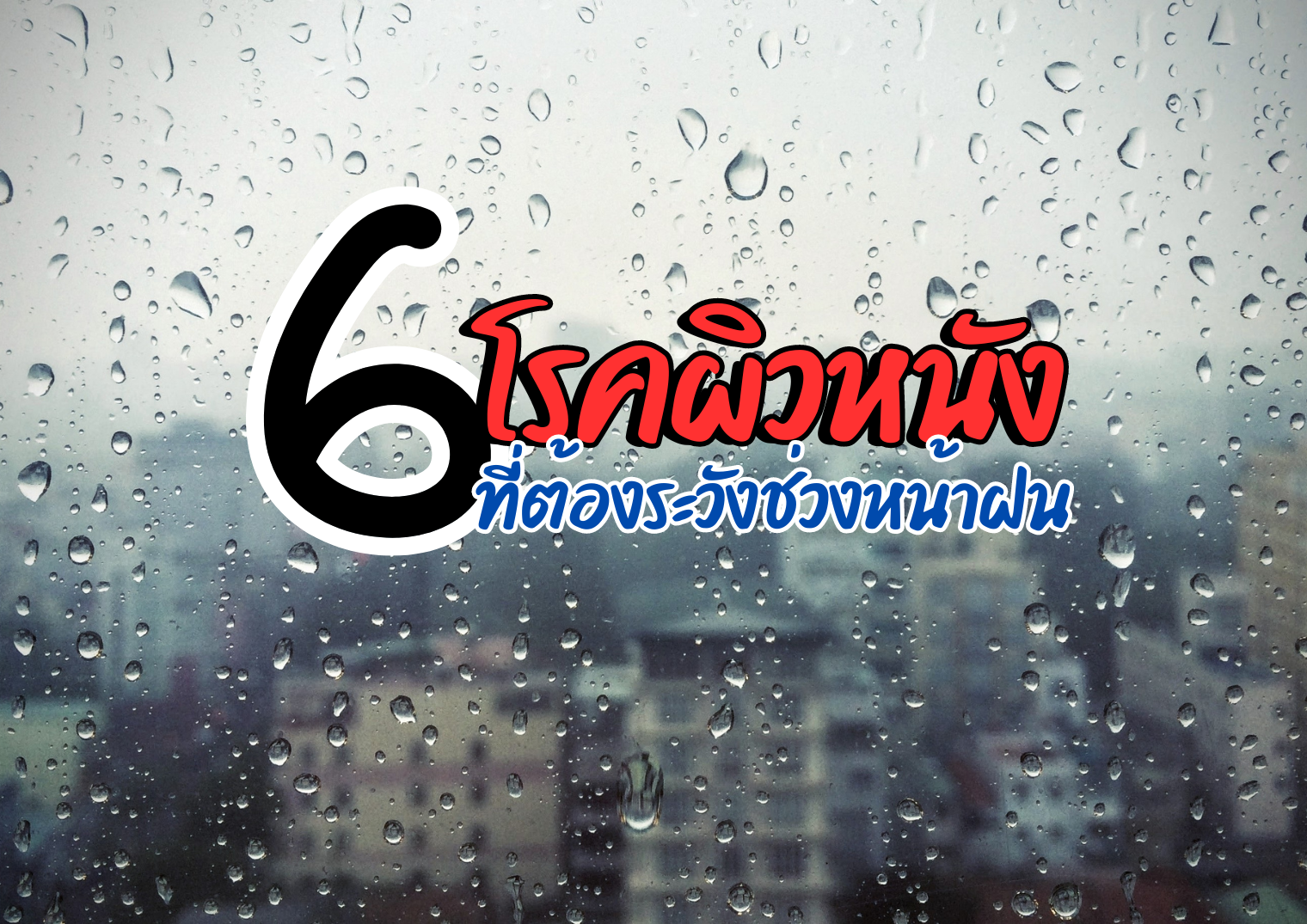 รูปภาพหน้าปก c12becf1-2478-4b7d-85e7-64d4b0db3b70