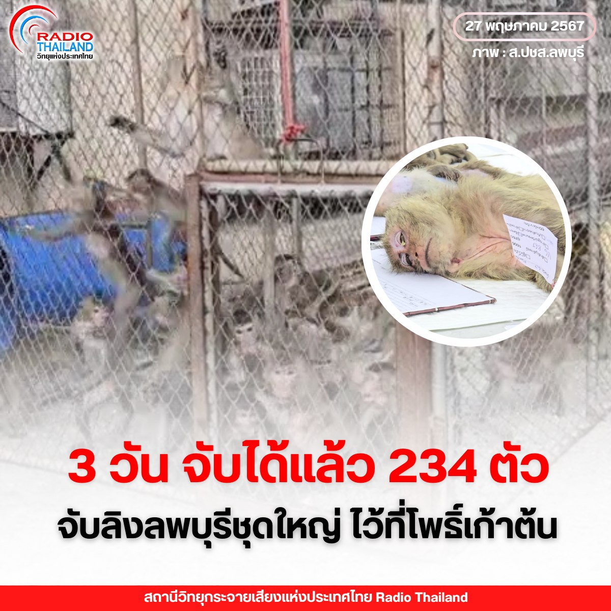 รูปภาพหน้าปก 11155605-36a3-4d99-9240-b5e02d8168dd