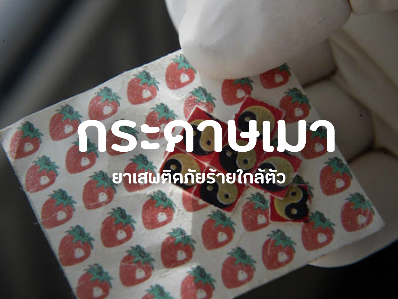 รูปภาพหน้าปก f4c9c6f8-2a70-484c-9404-1e775c0944cb