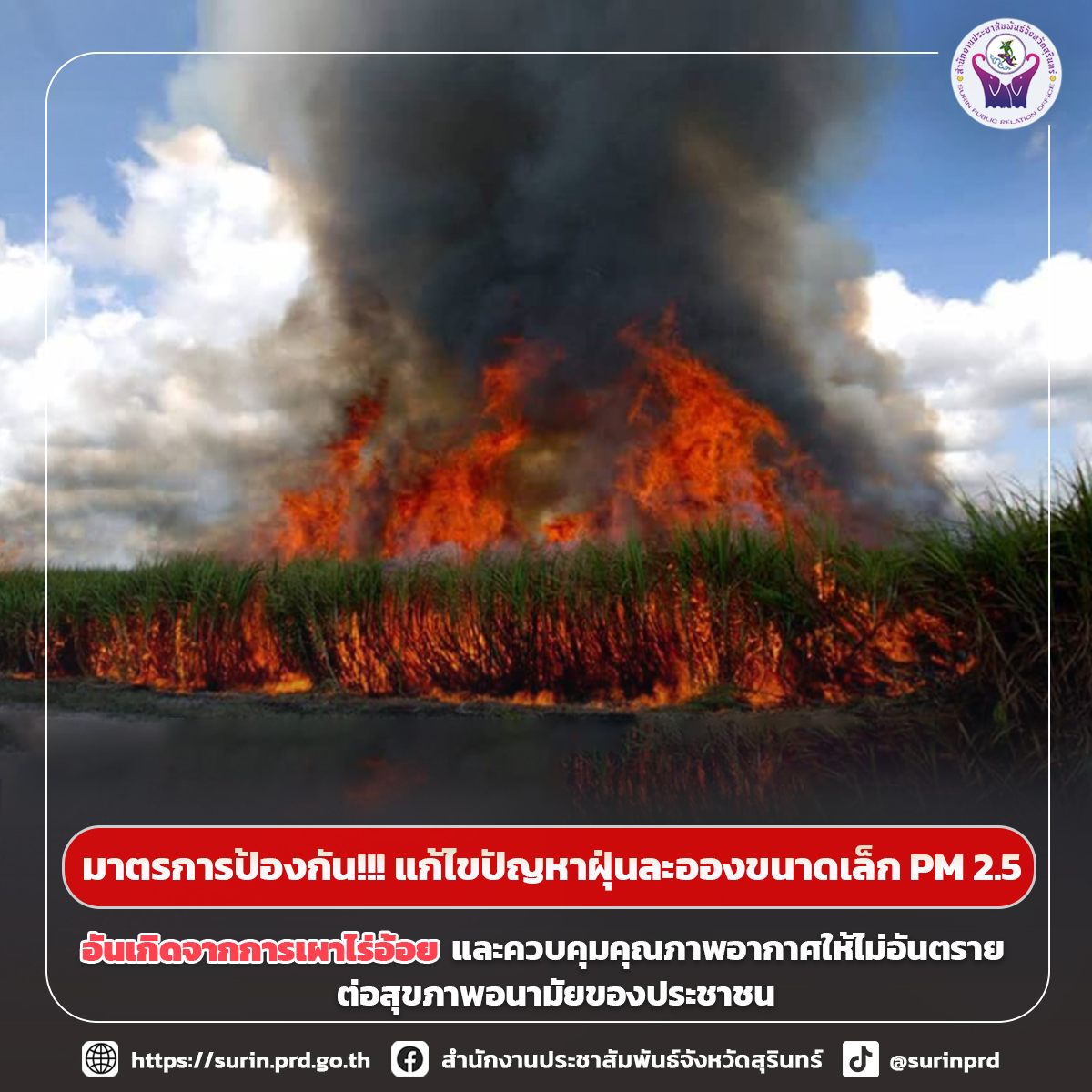รูปภาพหน้าปก 1959f1da-cf3f-4136-8519-a3142831eb5c