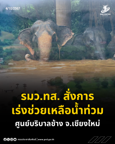 รูปภาพหน้าปก 8f6be3fa-64d9-46b4-a3e5-79df687c55e7