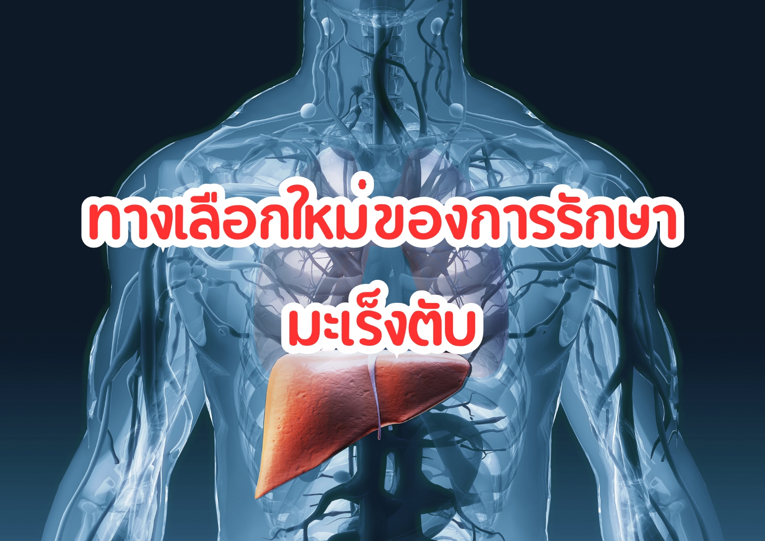 รูปภาพหน้าปก 1aede9fb-8fab-44f2-a5d8-570f5dbba3c4