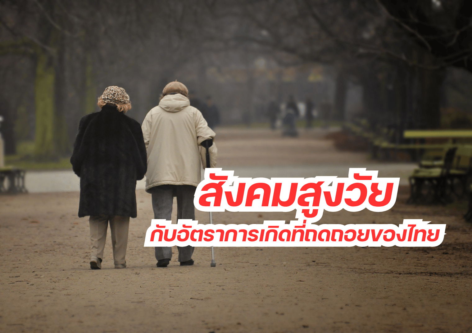 รูปภาพหน้าปก 9953044e-f8ac-4a20-9f3f-953abdcdcad5