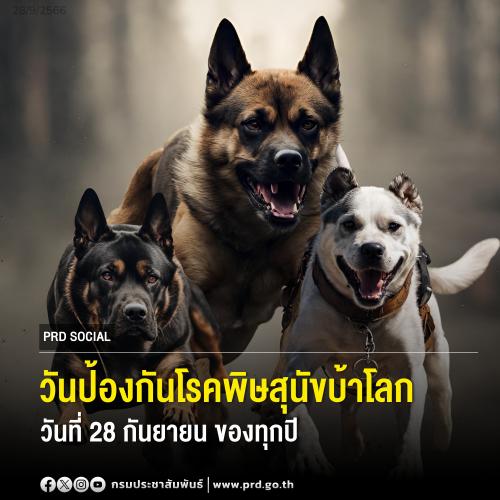 รูปภาพหน้าปก c9b6285c-48f2-4bb9-aa21-df3ff0bd2afd