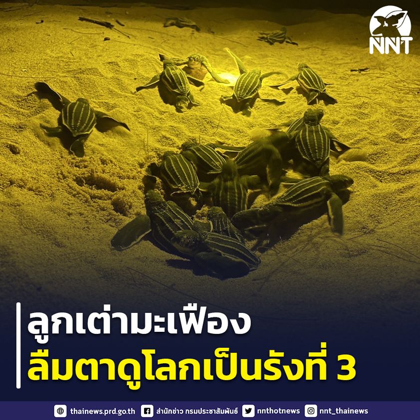 รูปภาพหน้าปก 2fcce4ce-a0fb-4c29-beac-1dad0f67da08