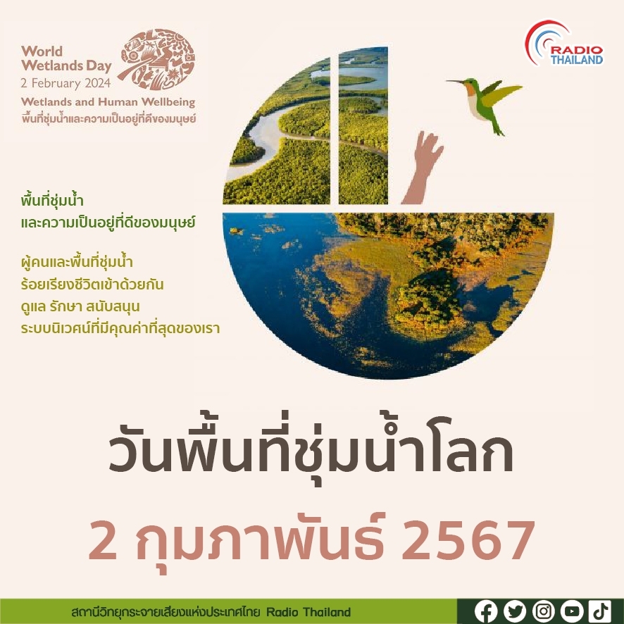 รูปภาพหน้าปก 469318aa-0c8e-4242-b645-f0764ff07aaa