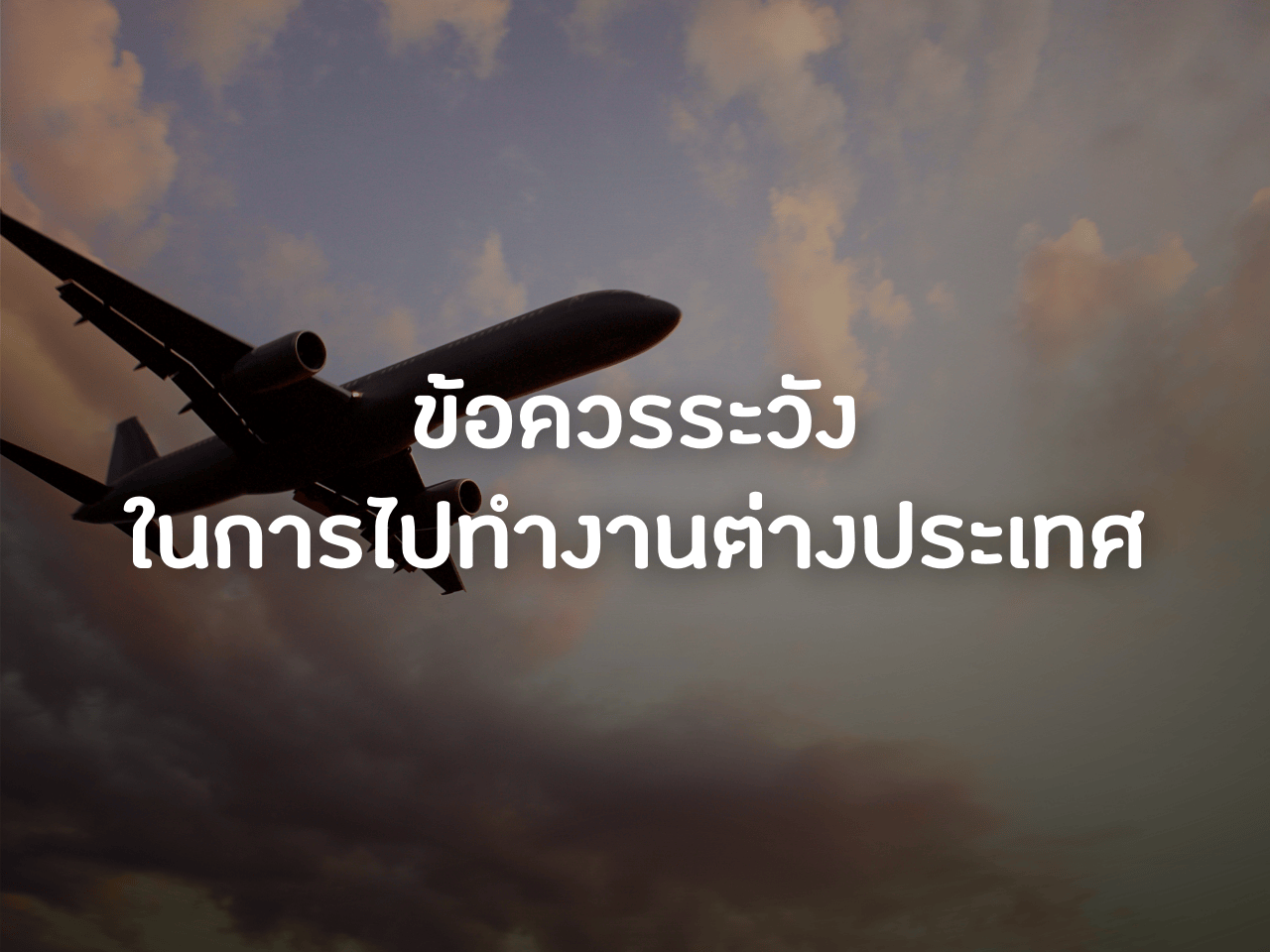รูปภาพหน้าปก 780929df-527b-4988-9503-9a09c73fd9db