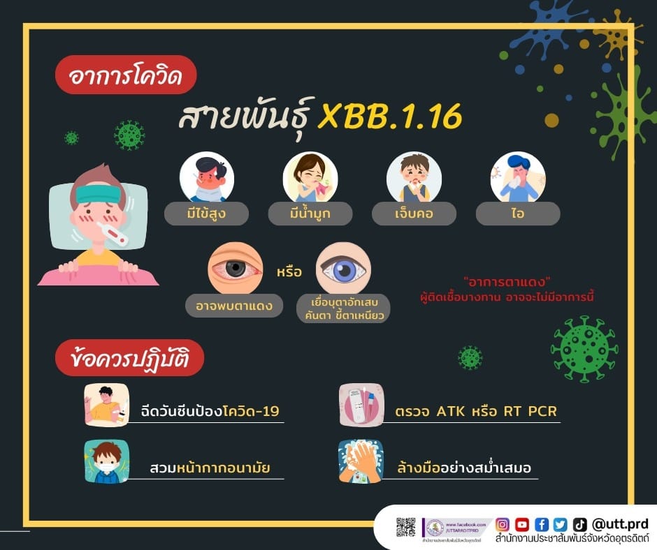 รูปภาพหน้าปก 5e428ab0-bbae-4e9c-9070-d10f542d9552