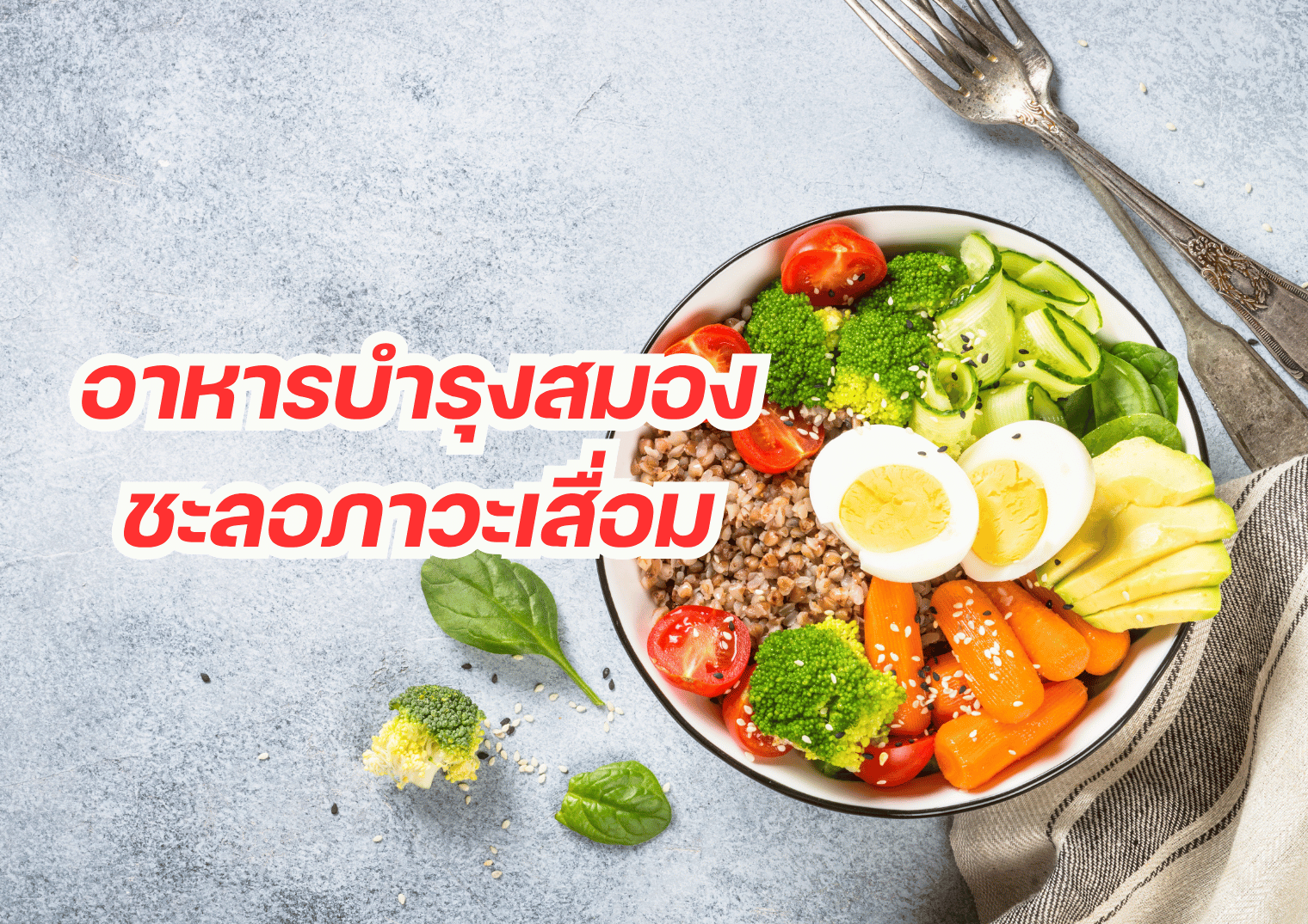 รูปภาพหน้าปก 951d0077-1a61-4114-9d67-33121a7a0630