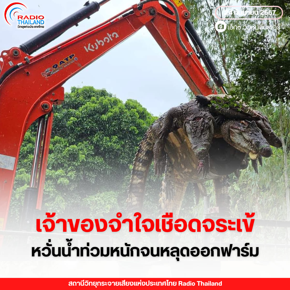 รูปภาพหน้าปก 445c1a1b-188c-4213-afb6-e05e75eaea68